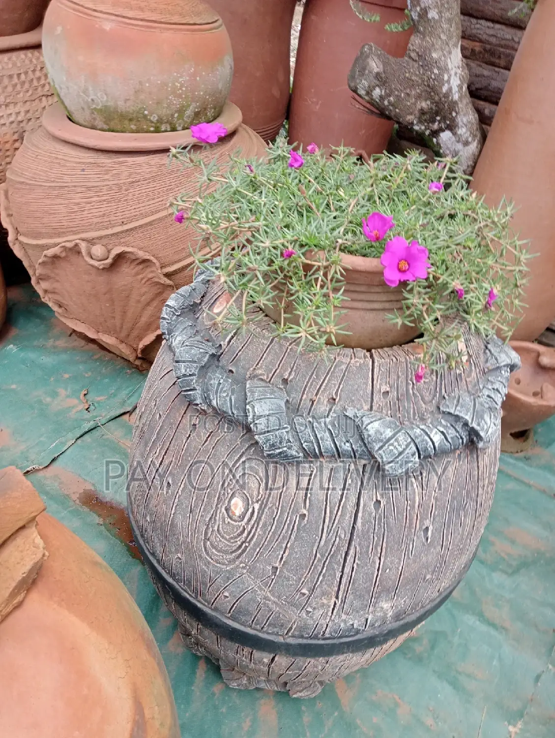 Pots And Flowers