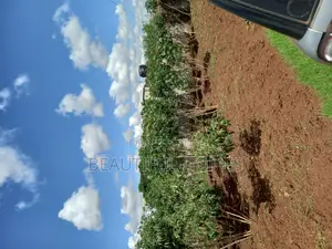 Plots at Kira on Sell
