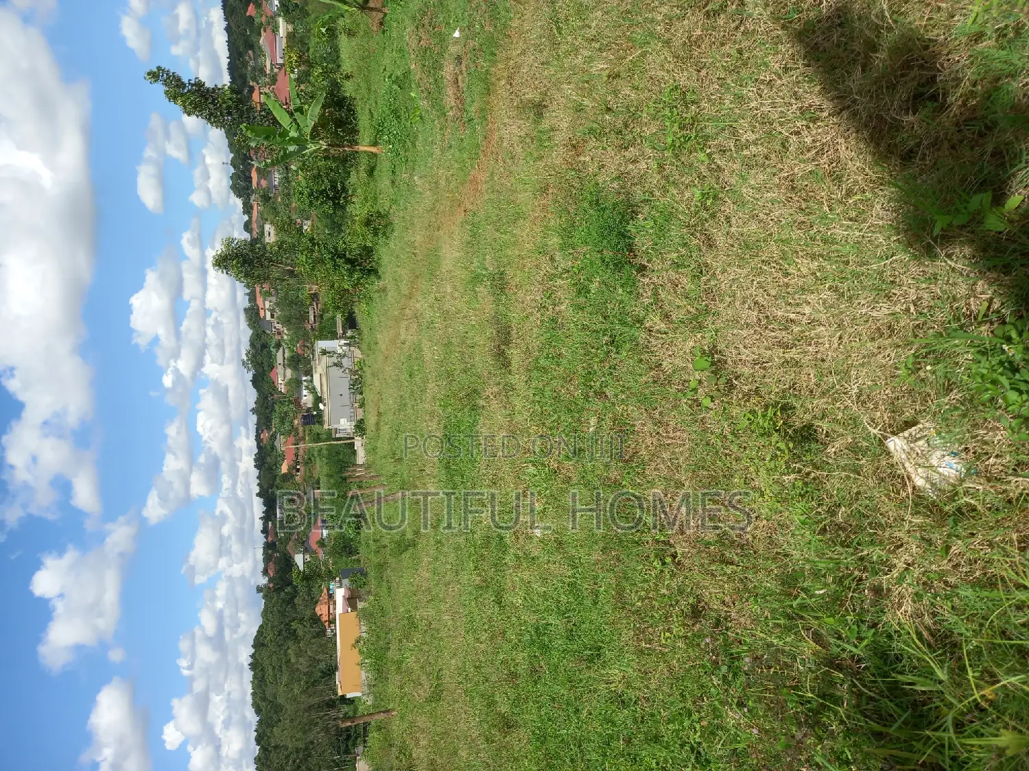 Kira Land on Fast Sell