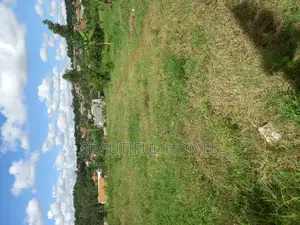 Kira Land on Fast Sell