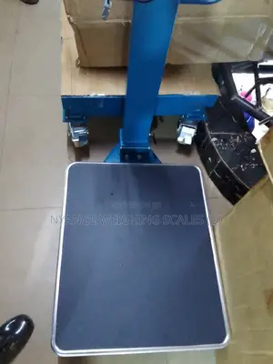 600kg Stainless Steel Plate Weighing Scales With Wheels