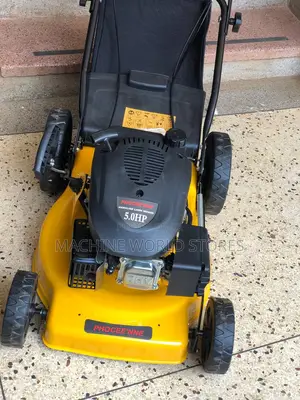 Lawn Mower (Phoceenee)