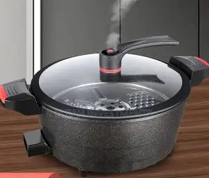 Hoffman’S Multifunctional Micro Pressure Cooker