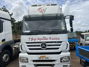 Mercedes Benz Axor