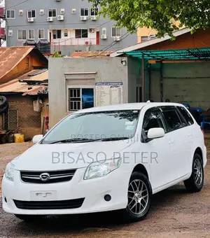 Toyota Corolla Fielder 2010 White