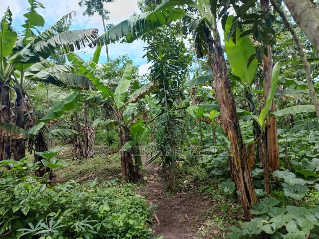 5 Acres on Quick Sale in Kanyanda Along Matuga Semuto Rd