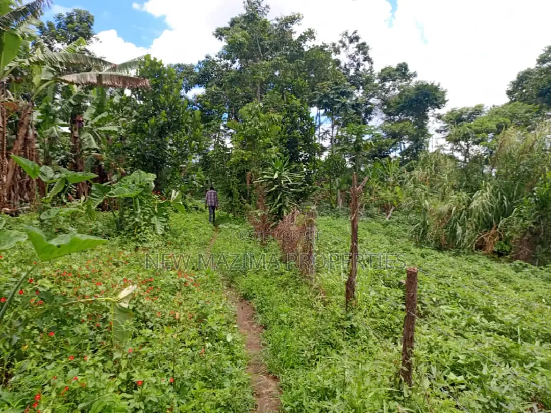 5 Acres on Quick Sale in Kanyanda Along Matuga Semuto Rd