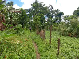 5 Acres on Quick Sale in Kanyanda Along Matuga Semuto Rd