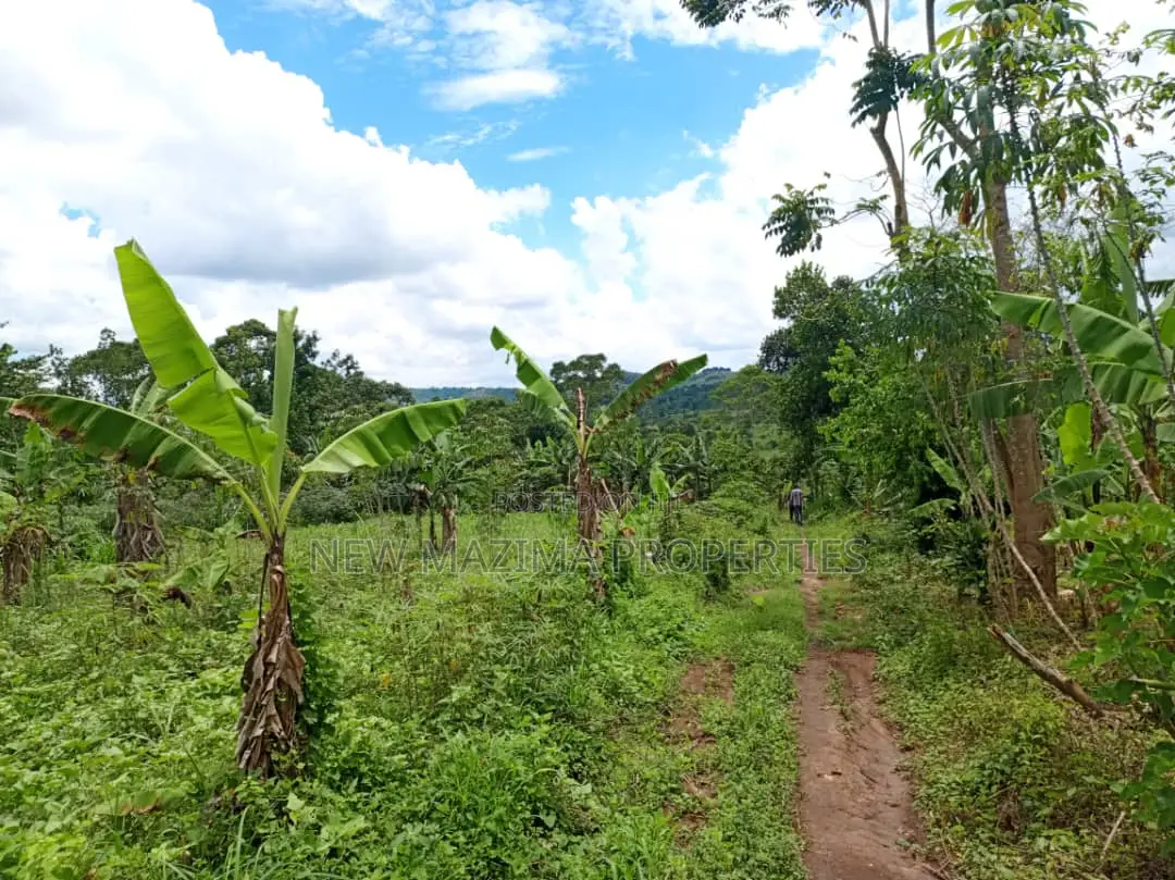 5 Acres on Quick Sale in Kanyanda Along Matuga Semuto Rd