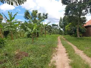 5 Acres on Quick Sale in Kanyanda Along Matuga Semuto Rd