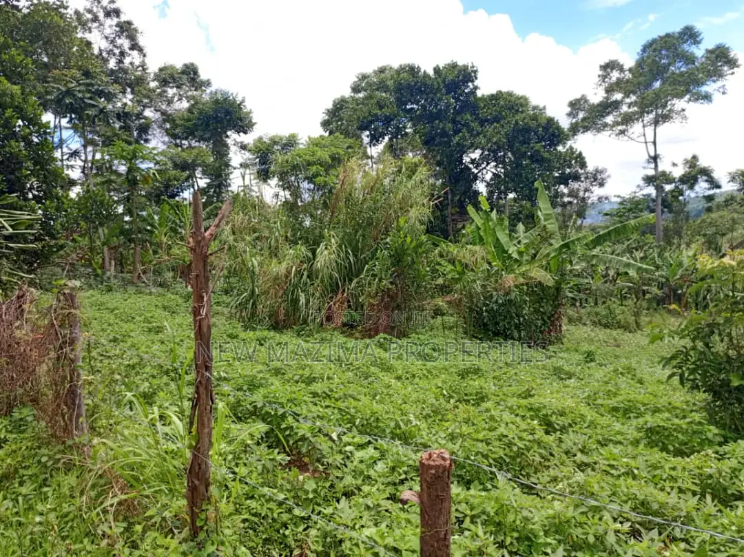 5 Acres on Quick Sale in Kanyanda Along Matuga Semuto Rd