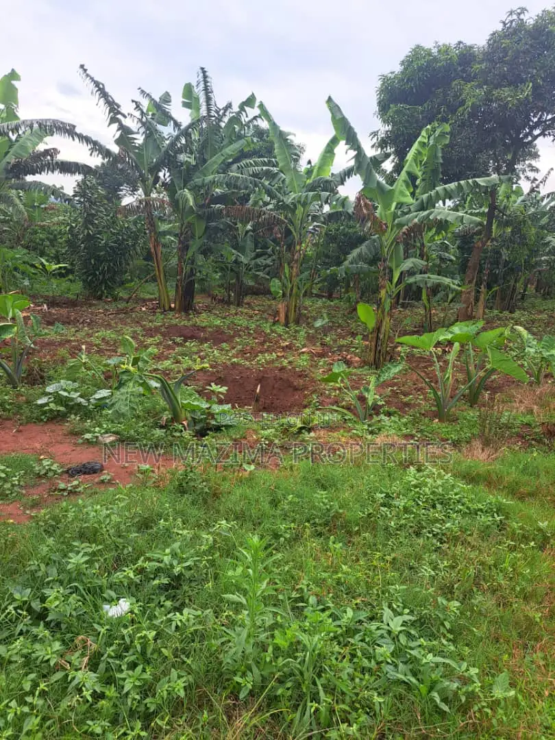 Veryfertile 15acres in Buwalura on Kitalya Rd on Mityaana Rd