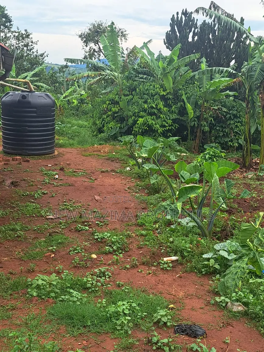 Veryfertile 15acres in Buwalura on Kitalya Rd on Mityaana Rd