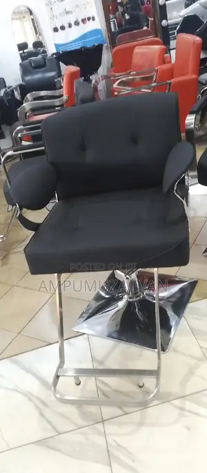 Styling Chair 6664