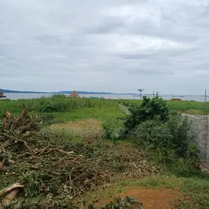 Very Beautiful Hot Plots With Lake View on Sale in Busabaala