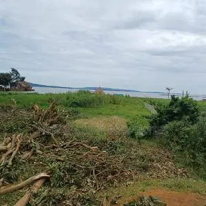 Very Beautiful Hot Plots With Lake View on Sale in Busabaala