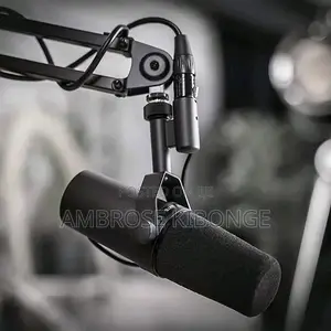 New Solid Performance SHURE SM7B Condenser Studio Microphone