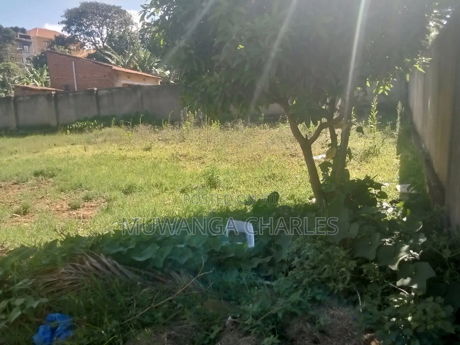 Plot Available for Sale in Kungu