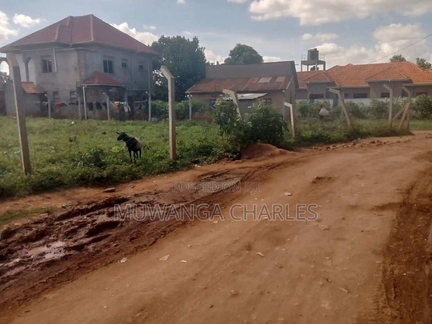 Nice Plot for Sale at Kungu Town