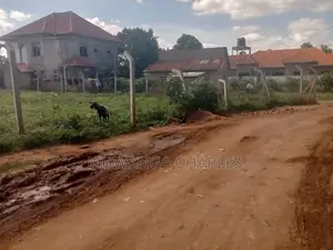 Nice Plot for Sale at Kungu Town