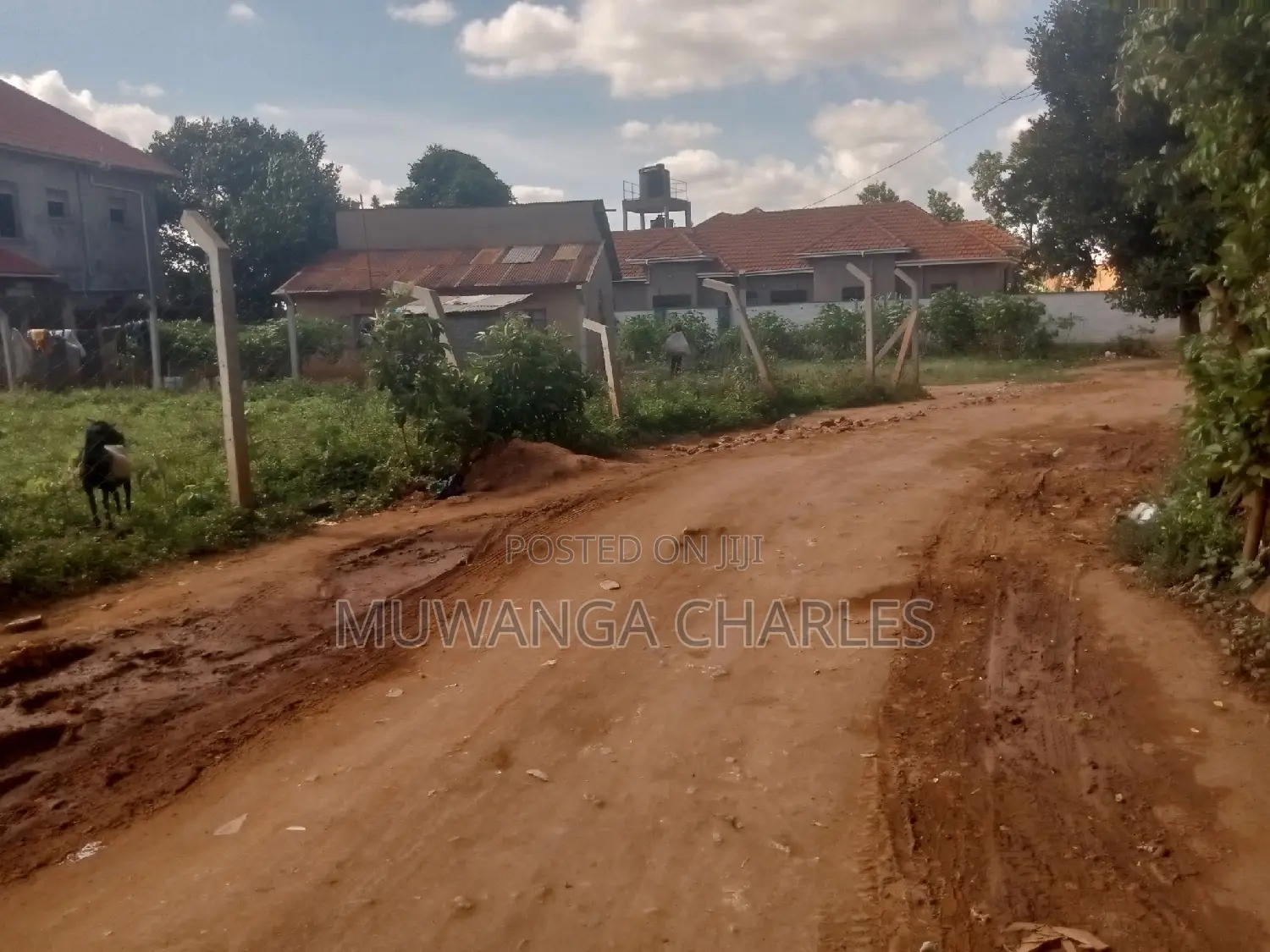 Nice Plot for Sale at Kungu Town