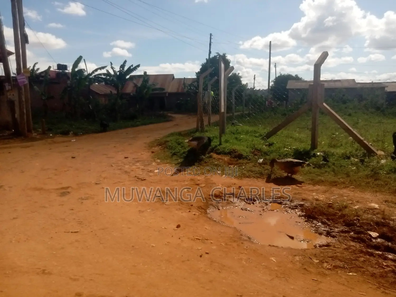 Nice Plot for Sale at Kungu Town