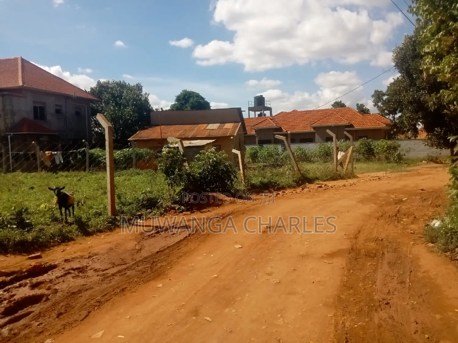 Nice Plot for Sale at Kungu Town