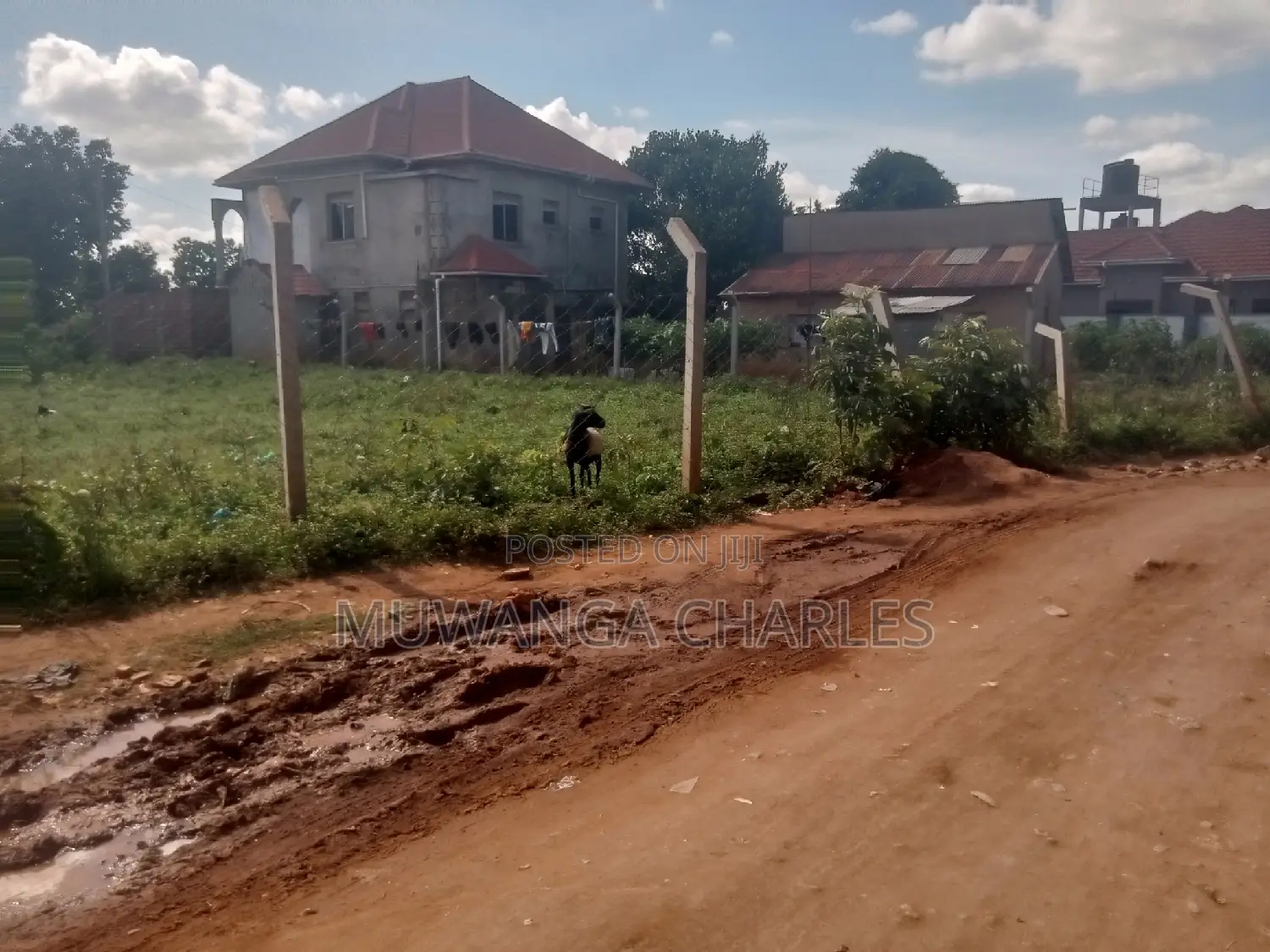 Nice Plot for Sale at Kungu Town