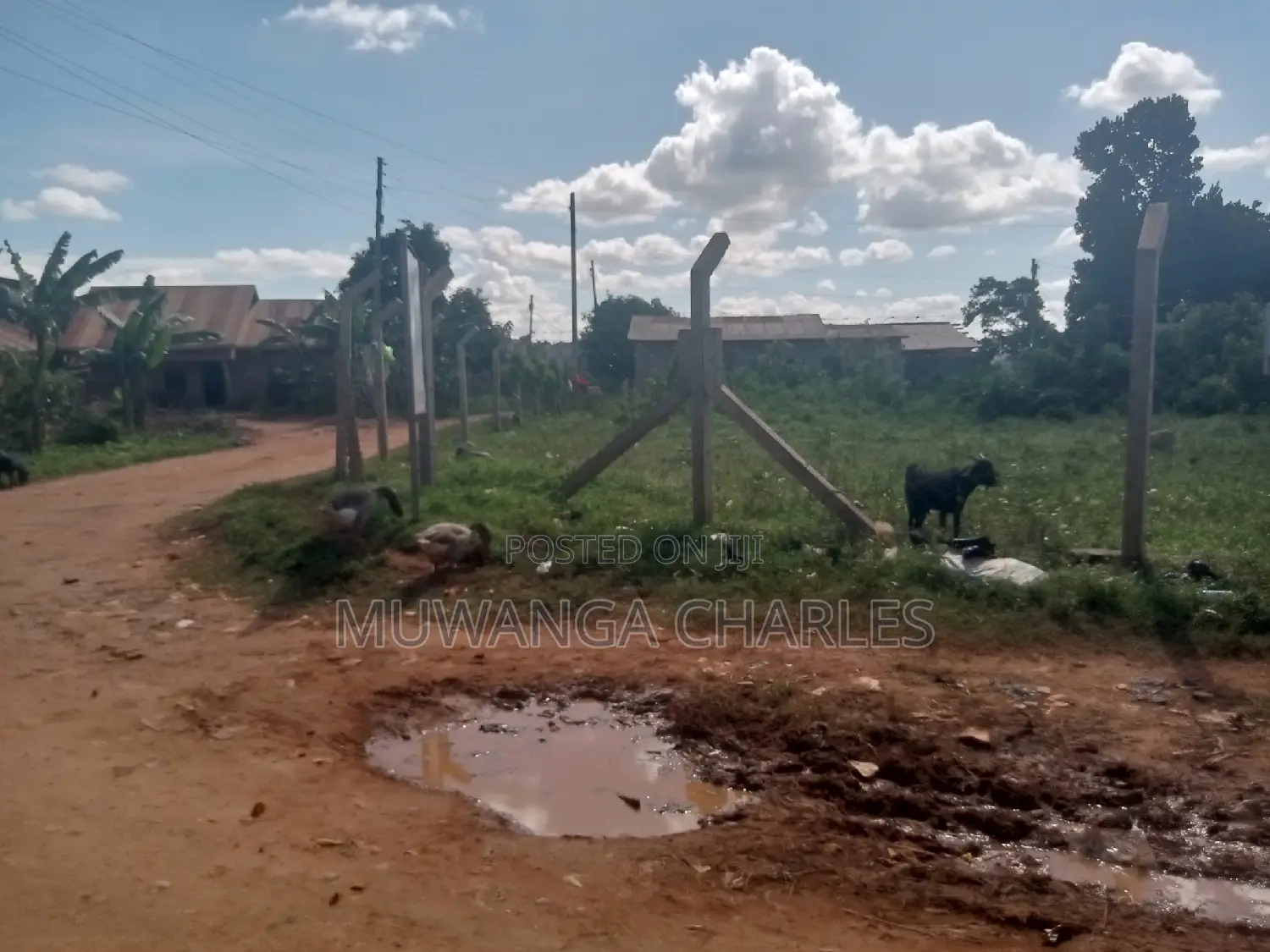 Nice Plot for Sale at Kungu Town