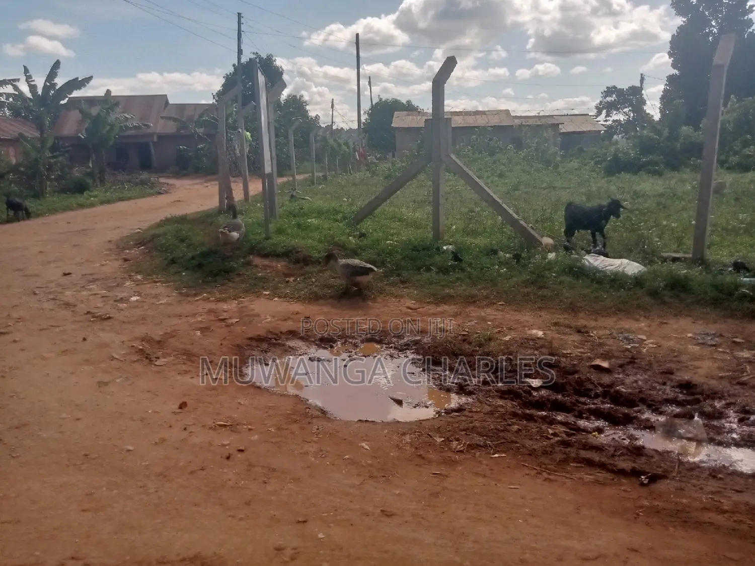 Nice Plot for Sale at Kungu Town