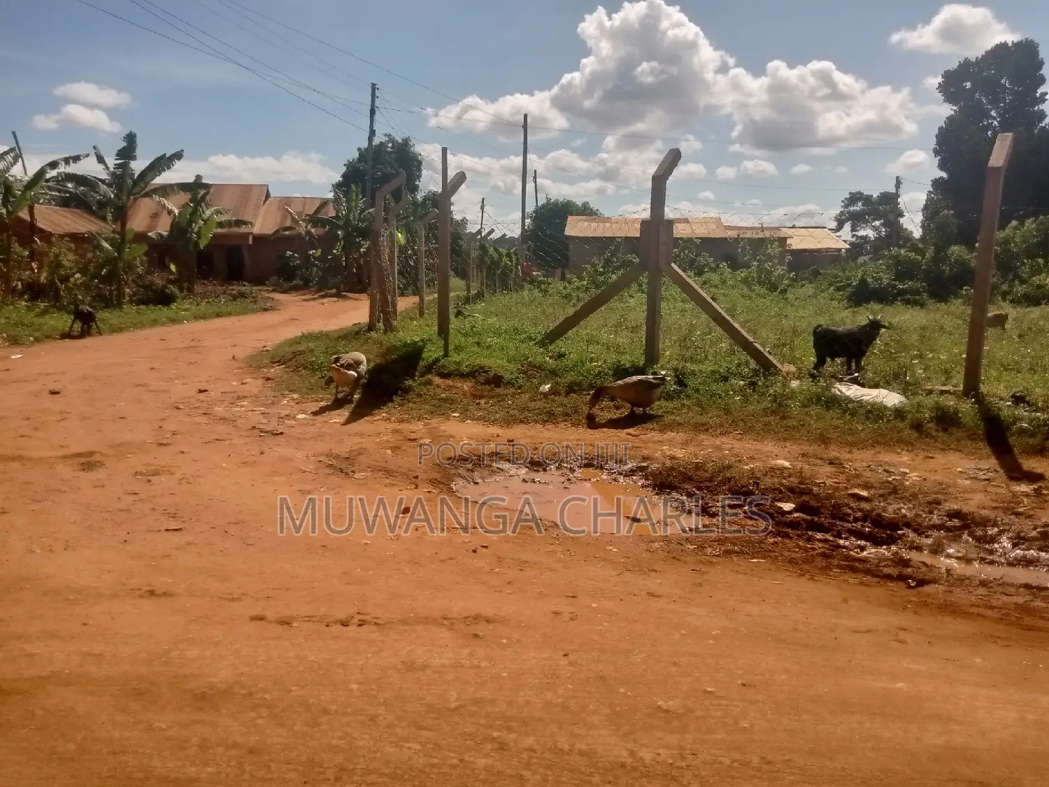 Nice Plot for Sale at Kungu Town