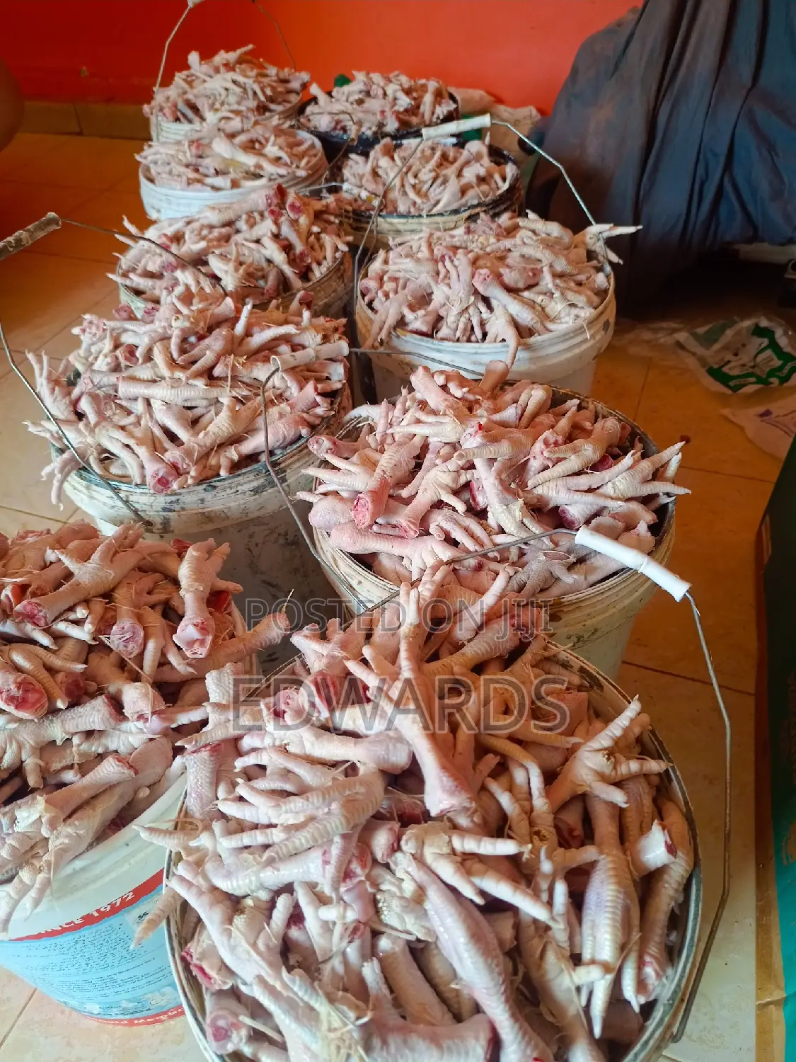 Chicken Feet for Dog Food
