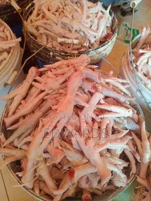Chicken Feet for Dog Food