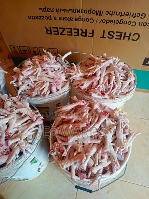 Chicken Feet for Dog Food