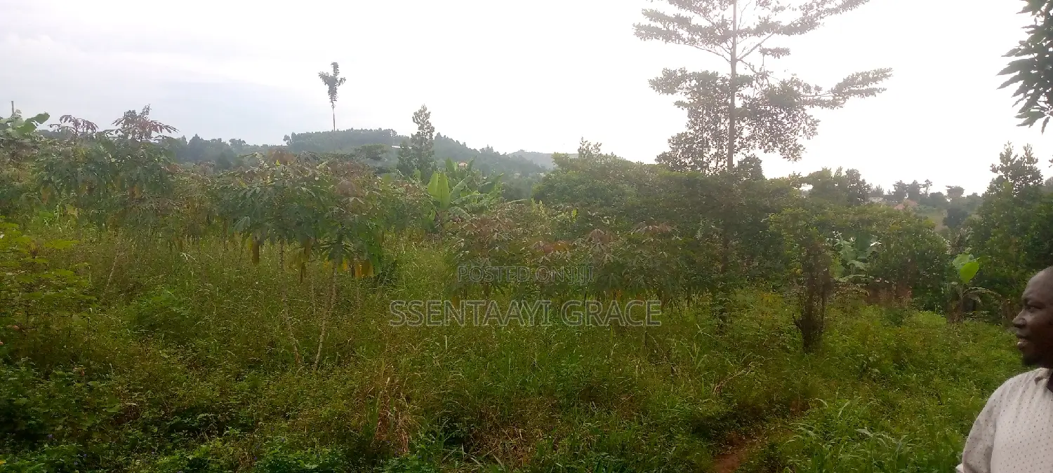 100/50, Land With Tittle at Mpigi 15 000,000 Million Each