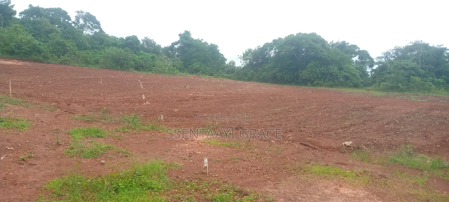 100/50, Land With Tittle at Mpigi 15 000,000 Million Each