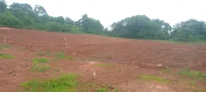 100/50, Land With Tittle at Mpigi 15 000,000 Million Each