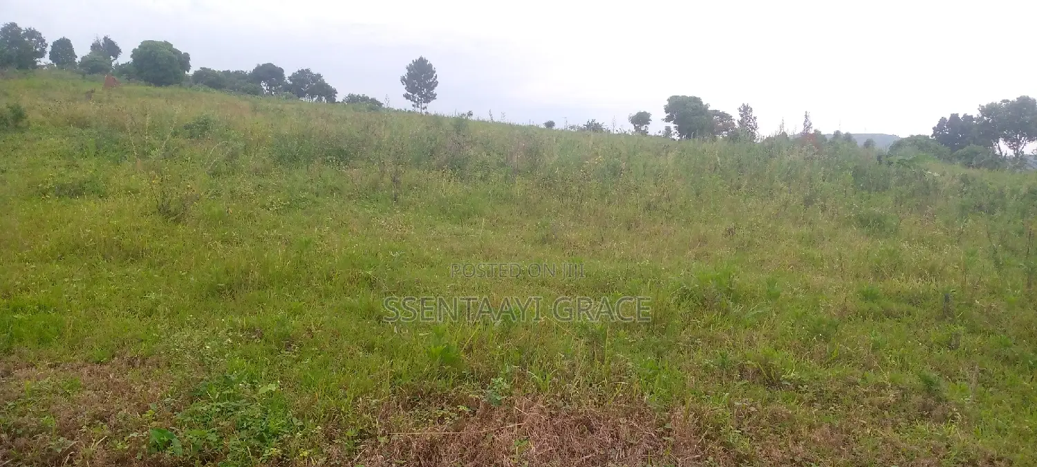 6 Acre Farm Land With Tittle at Buddo Kisozi 70 M Each