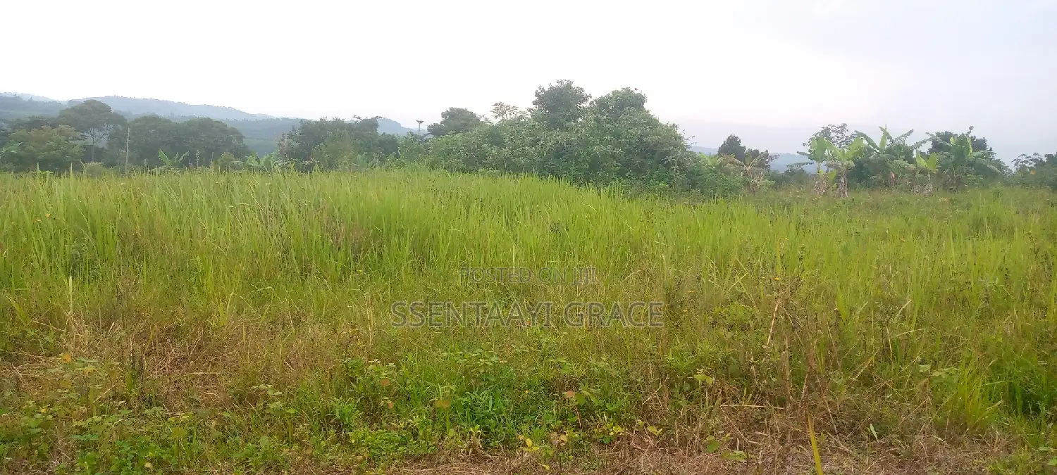 6 Acre Farm Land With Tittle at Buddo Kisozi 70 M Each