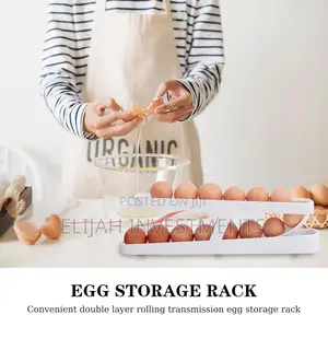 Automatic Rolling Egg Holder / Container