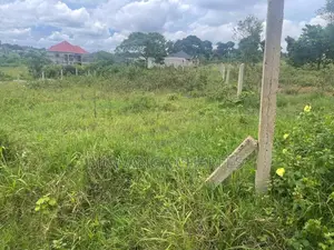Plots Are Available for Sale in Busiika