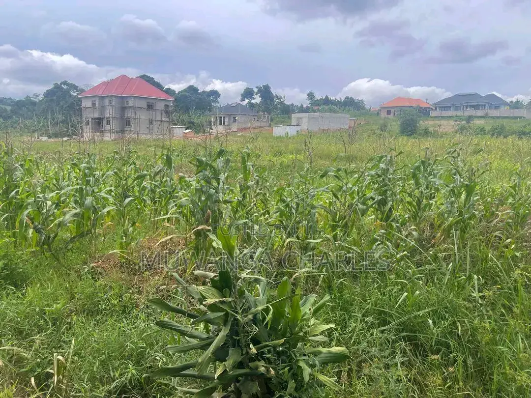 Plots Are Available for Sale in Busiika
