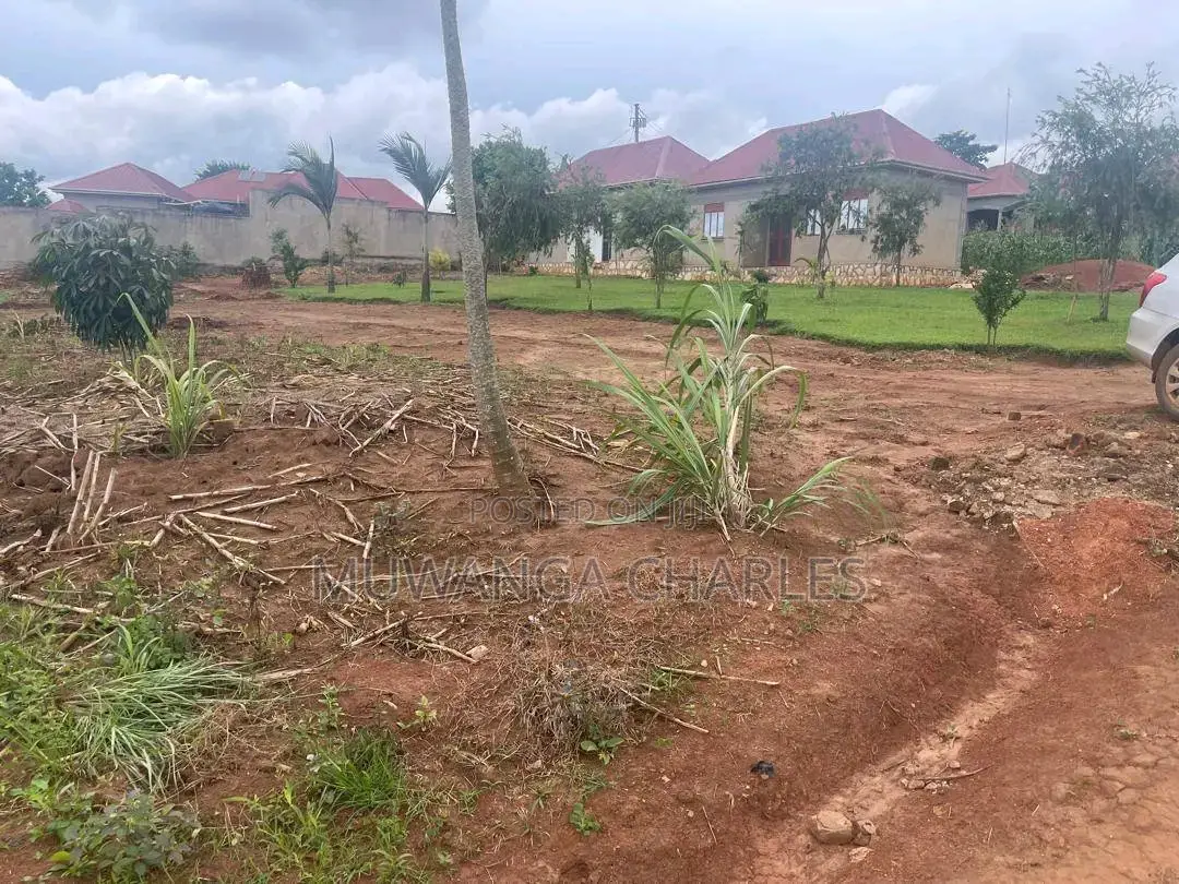 Plots Are Available for Sale in Busiika