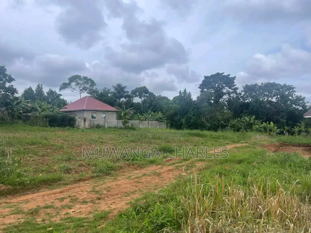 Plots Are Available for Sale in Busiika