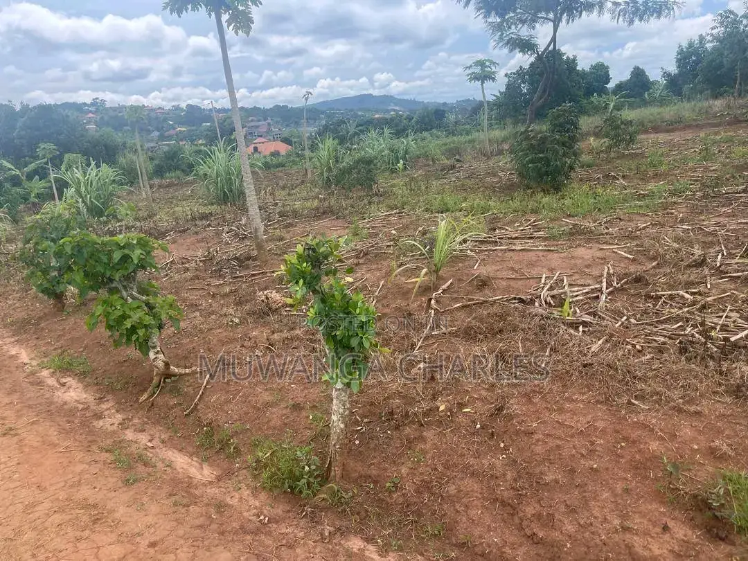 Plots Are Available for Sale in Busiika