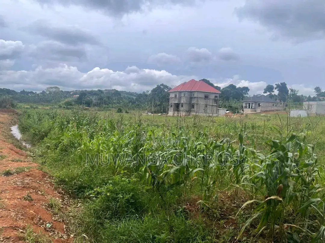 Plots Are Available for Sale in Busiika