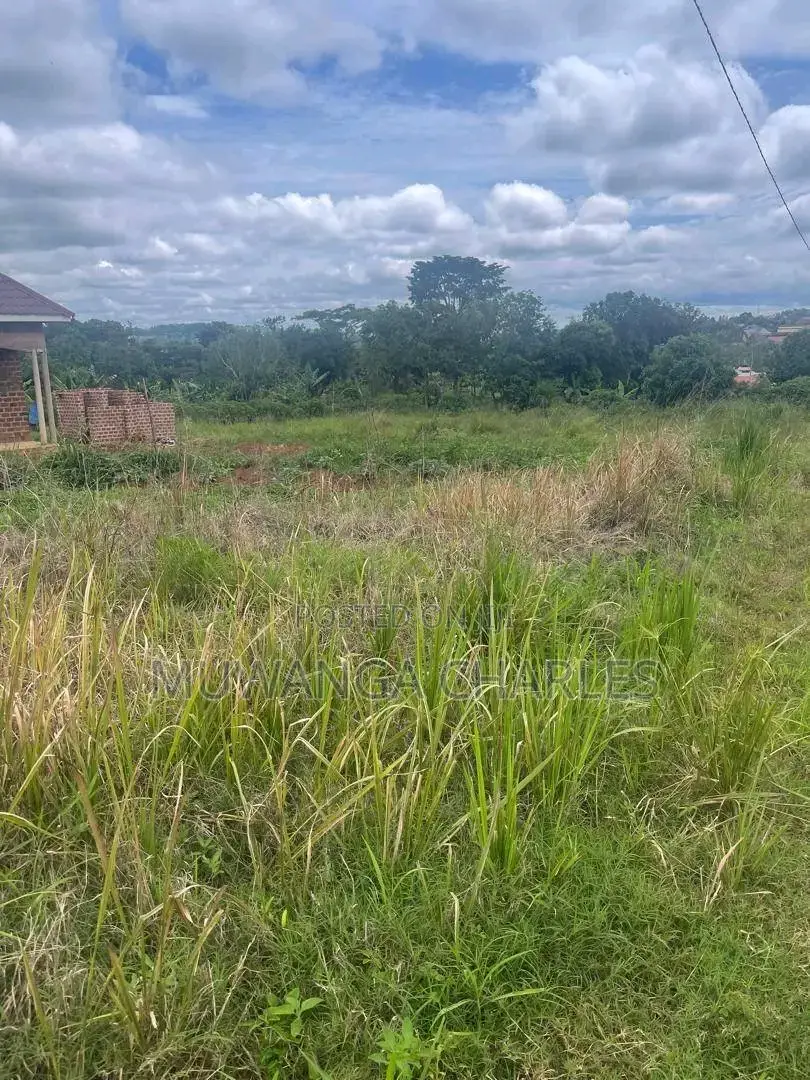 Plots Are Available for Sale in Busiika