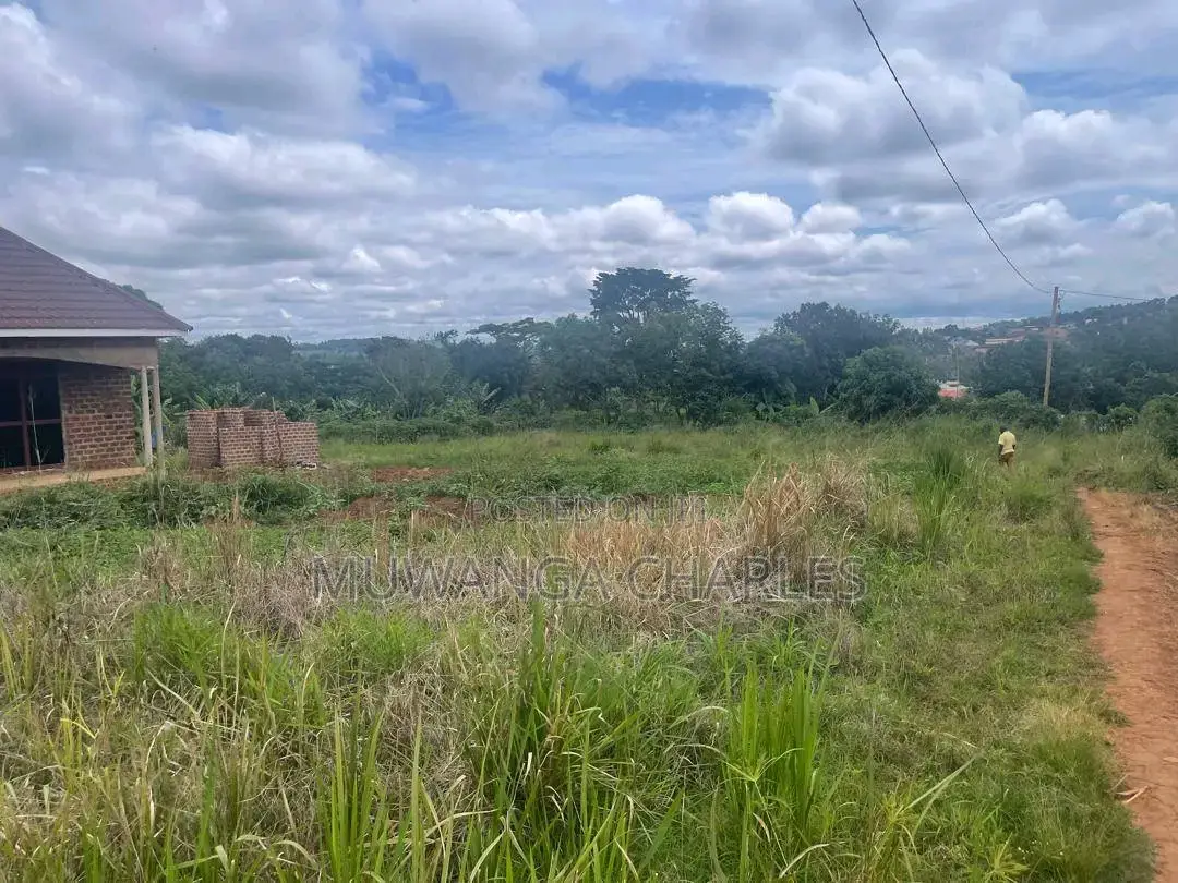 Plots Are Available for Sale in Busiika