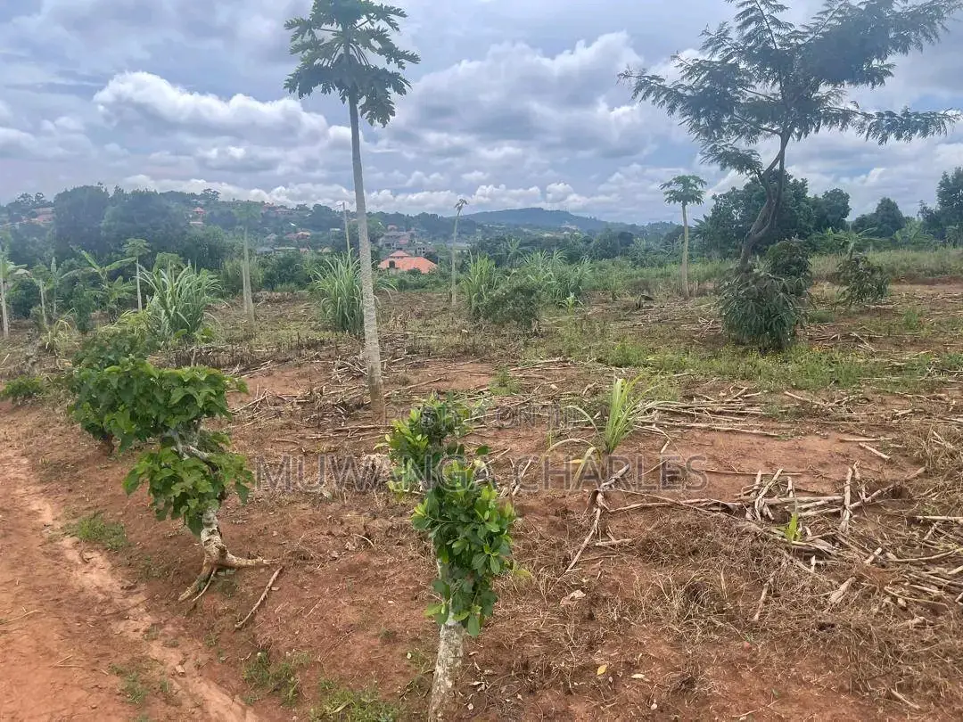 Plots Are Available for Sale in Busiika