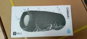 Copy Small JBL Charge 5 Bass Speaker